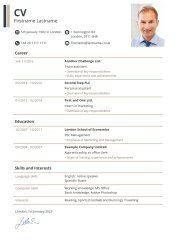 CV with icons