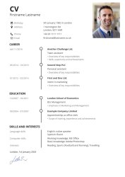 CV with timeline CV with timeline