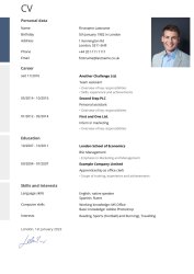 Elegant CV Elegant CV