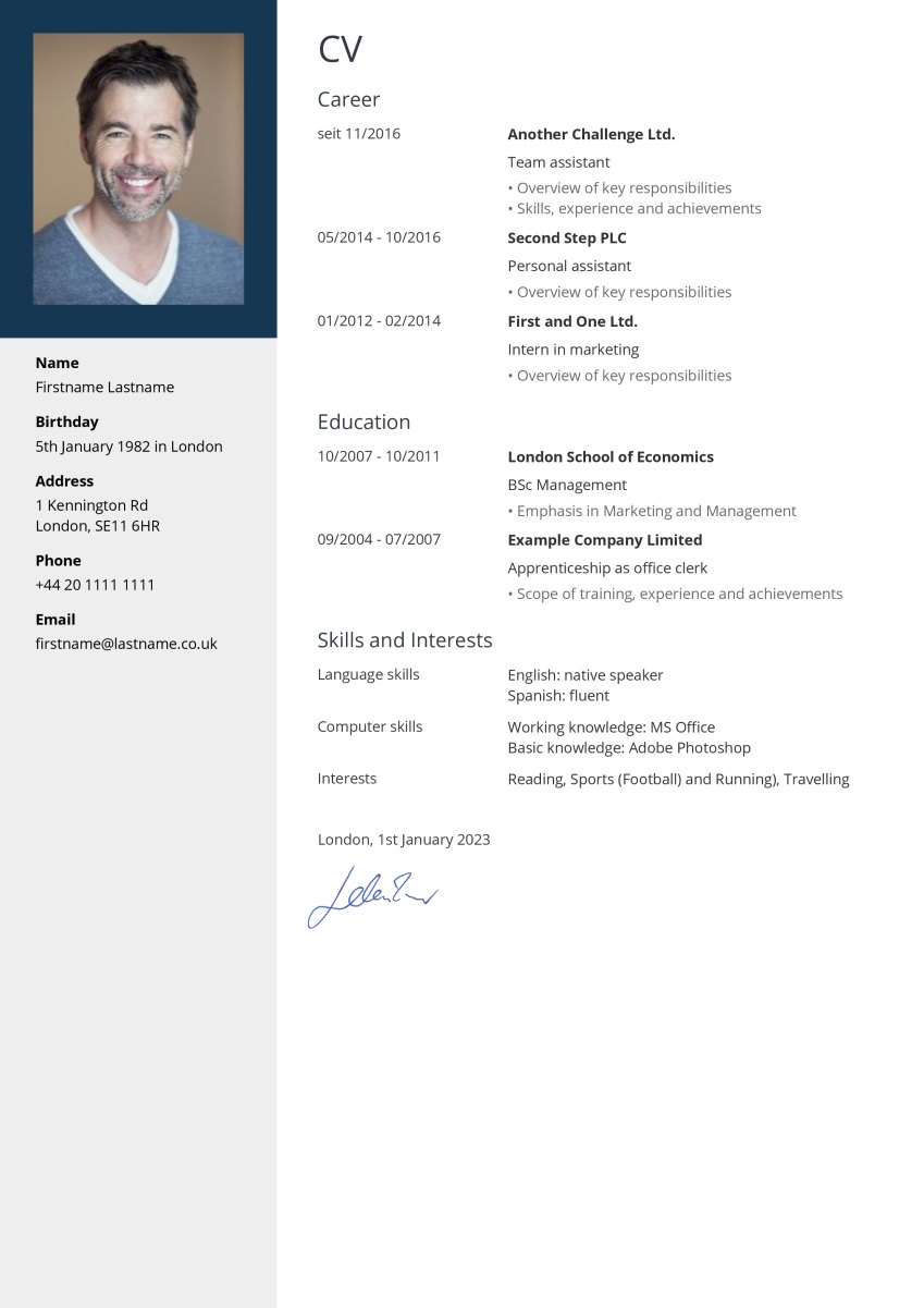 Professional CV Example for Professional CV